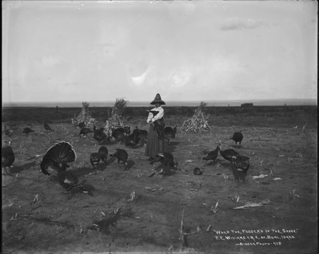 Thanksgiving Past